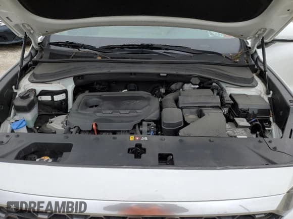 ✅ 2020 Hyundai Santa Fe SEL • VIN: 5NMS3CAD3LH213306 • Lot: 45534474. Wystawiony na Copart z przebiegiem 29 991 mil. Bezpłatny archiwum sprzedaży aukcyjnych z USA i szczegółowy raport historii pojazdu na DreamBid. Zdjęcie 12.