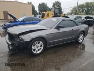 2014 Ford Mustang V6 с VIN 1ZVBP8EM5E5205674, выставлен на аукционе Copart как лот 82221475 с пробегом 85 170 миль миль и Списание • Salvage title. История ставок и продаж доступна на DreamBid. Изображение 1.