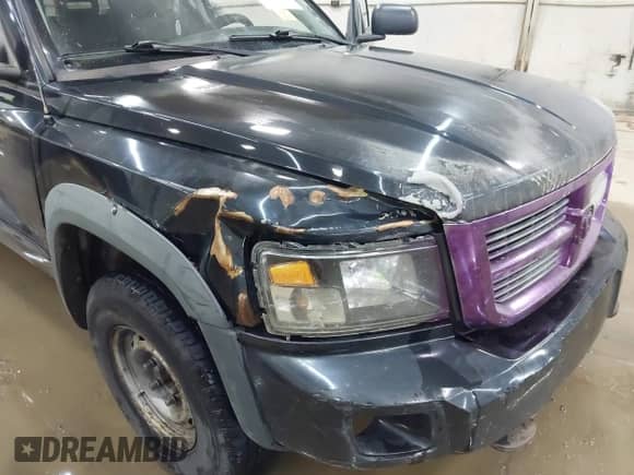 2008 Dodge Dakota with VIN 1D7HW78NX8S564769, listed as a IAAI auction lot 42717548 with 217,290 mi miles and . Bid and sale history available at DreamBid. Image 6.