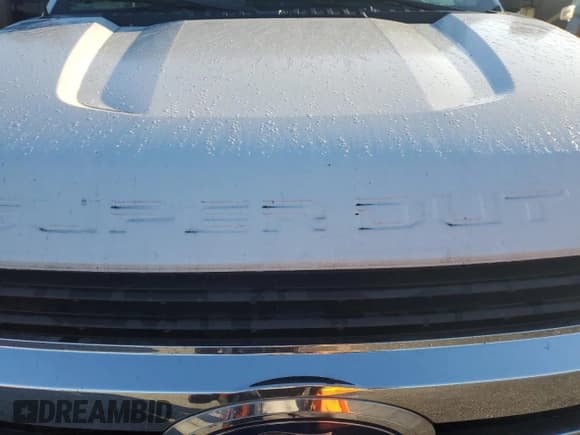 ✅ 2017 Ford F-350 XL • VIN: 1FT8W3BT5HEF04956 • Lot: 87462825. Wystawiony na Copart z przebiegiem 170 413 mil. Bezpłatny archiwum sprzedaży aukcyjnych z USA i szczegółowy raport historii pojazdu na DreamBid. Zdjęcie 11.