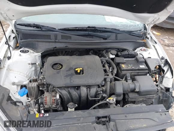 ✅ 2019 Kia Forte LXS • VIN: 3KPF24AD4KE108466 • Lot: 42159458. Wystawiony na IAAI z przebiegiem 83 364 mil. Bezpłatny archiwum sprzedaży aukcyjnych z USA i szczegółowy raport historii pojazdu na DreamBid. Zdjęcie 8.