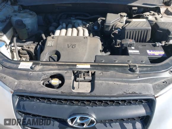 ✅ 2009 Hyundai Santa Fe GLS • VIN: 5NMSG13D99H251041 • Lot: 43546618. Listed on IAAI with 185,477 mi. Free auction sales archive from the USA and detailed vehicle history report at DreamBid. Image 10.