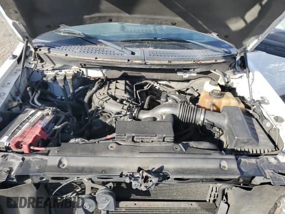 ✅ 2011 Ford F-150 XL • VIN: 1FTEX1CM7BFC52219 • Lot: 82735625. Listed on Copart with 388,717 mi. Free auction sales archive from the USA and detailed vehicle history report at DreamBid. Image 11.