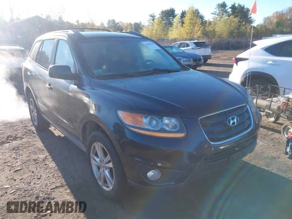 2010 Hyundai Santa Fe SE with VIN 5NMSHDAG3AH346663, listed as a IAAI auction lot 43449288 with 248,608 mi miles and . Bid and sale history available at DreamBid. Image 1.