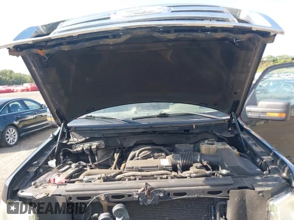 ✅ 2009 Ford F-150 XL • VIN: 1FTRW14899FB19462 • Lot: 43173510. Listed on IAAI with 195,631 mi. Free auction sales archive from the USA and detailed vehicle history report at DreamBid. Image 10.