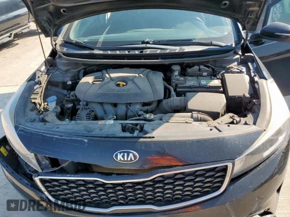 ✅ 2017 Kia Forte LX • VIN: KNAFK5A82H5690321 • Lot: 81148695. Listed on Copart with 130,687 mi. Free auction sales archive from the USA and detailed vehicle history report at DreamBid. Image 11.