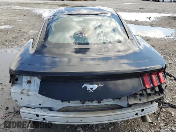 ✅ 2024 Ford Mustang EcoBoost • VIN: 1FA6P8TH7R5102973 • Лот: 83785375. Опубликован ранее на Copart с пробегом 33 611 миль. Бесплатный доступ к архиву аукционных продаж из США и подробный отчёт об истории автомобиля на DreamBid. Изображение 6.