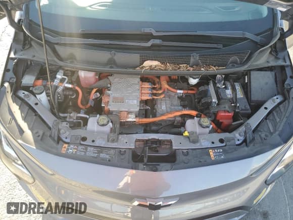 ✅ 2022 Chevrolet Bolt EV 1LT • VIN: 1G1FW6S09N4131302 • Lot: 75270404. Wystawiony na Copart z przebiegiem 52 667 mil. Bezpłatny archiwum sprzedaży aukcyjnych z USA i szczegółowy raport historii pojazdu na DreamBid. Zdjęcie 13.