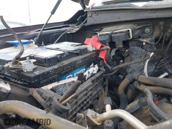 ✅ 2015 Ford F-150 XLT • VIN: 1FTEW1EF5FFC11272 • Lot: 42299443. Wystawiony na IAAI z przebiegiem Nie podano. Bezpłatny archiwum sprzedaży aukcyjnych z USA i szczegółowy raport historii pojazdu na DreamBid. Zdjęcie 6.