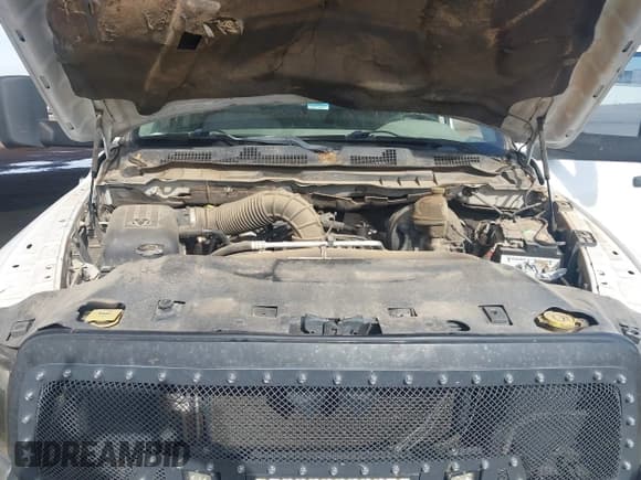 ✅ 2010 Dodge 1500 SLT • VIN: 1D7RV1GT6AS217708 • Lot: 43661805. Wystawiony na IAAI z przebiegiem 181 929 mil. Bezpłatny archiwum sprzedaży aukcyjnych z USA i szczegółowy raport historii pojazdu na DreamBid. Zdjęcie 10.