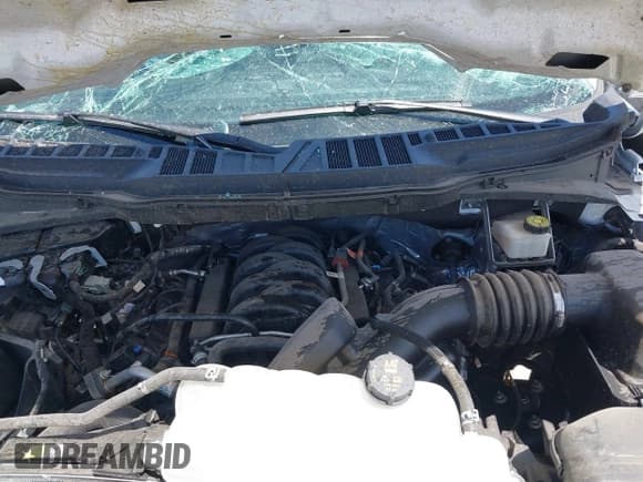 ✅ 2024 Ford F-150 STX • VIN: 1FTEW2K51RKD36055 • Лот: 42200008. Опубликован ранее на IAAI с пробегом Не указан. Бесплатный доступ к архиву аукционных продаж из США и подробный отчёт об истории автомобиля на DreamBid. Изображение 10.