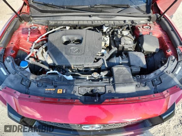 ✅ 2025 Mazda CX-50 S Preferred • VIN: 7MMVABBM5SN320029 • Лот: 87107185. Опубликован ранее на Copart с пробегом 19 525 миль. Бесплатный доступ к архиву аукционных продаж из США и подробный отчёт об истории автомобиля на DreamBid. Изображение 12.