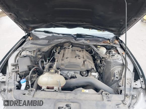 ✅ 2016 Ford Mustang EcoBoost Premium • VIN: 1FA6P8TH1G5204721 • Lot: 43416078. Wystawiony na IAAI z przebiegiem 95 997 mil. Bezpłatny archiwum sprzedaży aukcyjnych z USA i szczegółowy raport historii pojazdu na DreamBid. Zdjęcie 10.