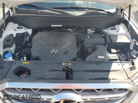 ✅ 2020 Hyundai Palisade Limited • VIN: KM8R54HE6LU125397 • Лот: 74623454. Опубликован ранее на Copart с пробегом 58 081 миль. Бесплатный доступ к архиву аукционных продаж из США и подробный отчёт об истории автомобиля на DreamBid. Изображение 12.