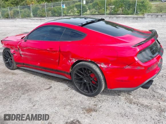 ✅ 2019 Ford Mustang GT • VIN: 1FA6P8CF1K5205424 • Lot: 43234848. Wystawiony na IAAI z przebiegiem 67 728 mil. Bezpłatny archiwum sprzedaży aukcyjnych z USA i szczegółowy raport historii pojazdu na DreamBid. Zdjęcie 3.