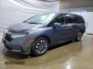 ✅ 2023 Honda Odyssey EX-L • VIN: 5FNRL6H65PB025787 • Lot: 55833415. Listed on Copart with 31,437 mi. Free auction sales archive from the USA and detailed vehicle history report at DreamBid. Image 1.