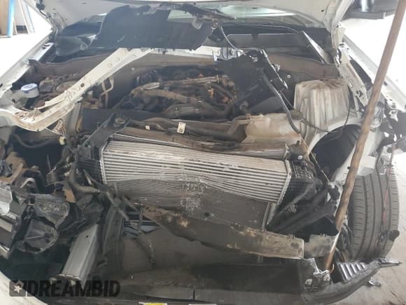 ✅ 2025 Ford Explorer Active • VIN: 1FMUK7DH9SGA42810 • Lot: 82742545. Wystawiony na Copart z przebiegiem 13 241 mil. Bezpłatny archiwum sprzedaży aukcyjnych z USA i szczegółowy raport historii pojazdu na DreamBid. Zdjęcie 12.