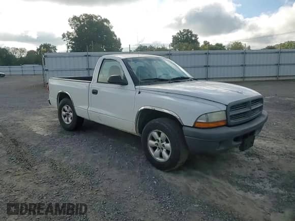 2003 Dodge Dakota z VIN 1D7FL16X73S307529, wystawiony jako Copart lot #73568784 z przebiegiem 314 924 mil mil oraz Szkoda całkowita • Salvage title. Historia ofert i sprzedaży dostępna na DreamBid. Obrazek 11.