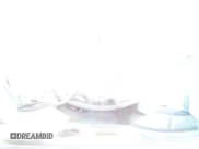 ✅ 2009 Chevrolet Silverado 2500HD Work Truck • VIN: 1GCHC43K09F167712 • Лот: 52971865. Опубликован ранее на Copart с пробегом Не указан. Бесплатный доступ к архиву аукционных продаж из США и подробный отчёт об истории автомобиля на DreamBid. Изображение 12.