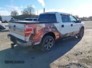 ✅ 2011 Ford F-150 XLT • VIN: 1FTFW1EF0BFB11059 • Lot: 43905361. Listed on IAAI with 290,277 mi. Free auction sales archive from the USA and detailed vehicle history report at DreamBid. Image 4.