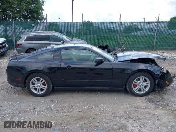 ✅ 2011 Ford Mustang V6 • VIN: 1ZVBP8AMXB5154447 • Lot: 42723044. Listed on IAAI with 100,061 mi. Free auction sales archive from the USA and detailed vehicle history report at DreamBid. Image 13.