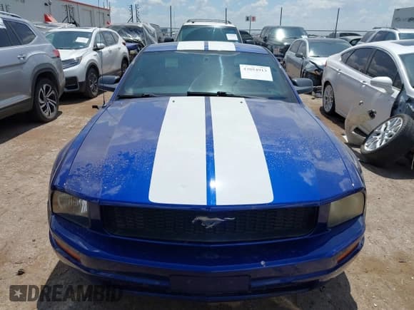 ✅ 2005 Ford Mustang Deluxe • VIN: 1ZVFT80N355125223 • Lot: 43054913. Wystawiony na IAAI z przebiegiem 97 966 mil. Bezpłatny archiwum sprzedaży aukcyjnych z USA i szczegółowy raport historii pojazdu na DreamBid. Zdjęcie 12.