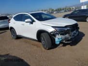 ✅ 2024 Lexus NX 350h Premium • VIN: JTJGKCEZXR5013787 • Лот: 42161932. Опубликован ранее на IAAI с пробегом 19 251 миль. Бесплатный доступ к архиву аукционных продаж из США и подробный отчёт об истории автомобиля на DreamBid. Изображение 1.