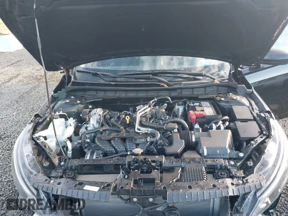 ✅ 2025 Nissan Altima SV • VIN: 1N4BL4DVXSN401788 • Lot: 43745365. Wystawiony na IAAI z przebiegiem 8 852 mil. Bezpłatny archiwum sprzedaży aukcyjnych z USA i szczegółowy raport historii pojazdu na DreamBid. Zdjęcie 10.