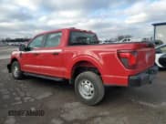 ✅ 2024 Ford F-150 XL • VIN: 1FTEW1LP1RKD69034 • Lot: 78921884. Listed on Copart with 14,576 mi. Free auction sales archive from the USA and detailed vehicle history report at DreamBid. Image 2.
