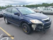 ✅ 2011 Mazda CX-9 Touring • VIN: JM3TB3CA6B0303873 • Lot: 42915539. Listed on IAAI with 237,279 mi. Free auction sales archive from the USA and detailed vehicle history report at DreamBid. Image 1.