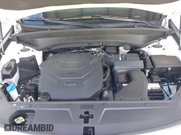 ✅ 2020 Kia Telluride S • VIN: 5XYP64HC7LG073867 • Lot: 43316751. Wystawiony na IAAI z przebiegiem 85 518 mil. Bezpłatny archiwum sprzedaży aukcyjnych z USA i szczegółowy raport historii pojazdu na DreamBid. Zdjęcie 10.