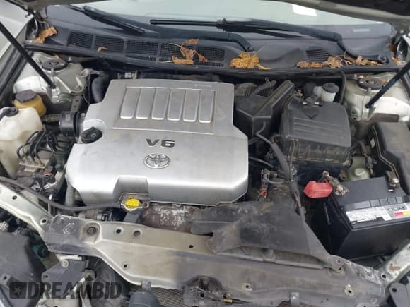 ✅ 2008 Toyota Avalon XL • VIN: 4T1BK36B58U274226 • Лот: 43564496. Опубликован ранее на IAAI с пробегом 166 279 миль. Бесплатный доступ к архиву аукционных продаж из США и подробный отчёт об истории автомобиля на DreamBid. Изображение 10.