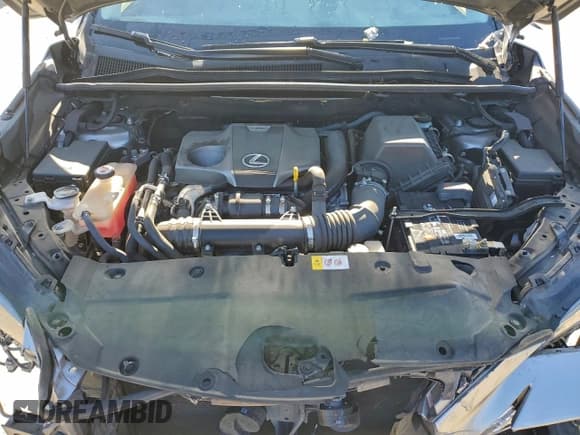 ✅ 2017 Lexus NX 200t • VIN: JTJYARBZ6H2083172 • Лот: 95344435. Опубликован ранее на Copart с пробегом 29 842 миль. Бесплатный доступ к архиву аукционных продаж из США и подробный отчёт об истории автомобиля на DreamBid. Изображение 12.