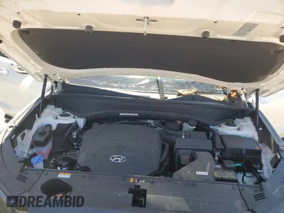 2024 Hyundai Palisade XRT с VIN KM8R3DGE4RU658350, выставлен на аукционе Copart как лот 60864514 с пробегом 15 307 миль миль и Списание • Salvage title. История ставок и продаж доступна на DreamBid. Изображение 13.