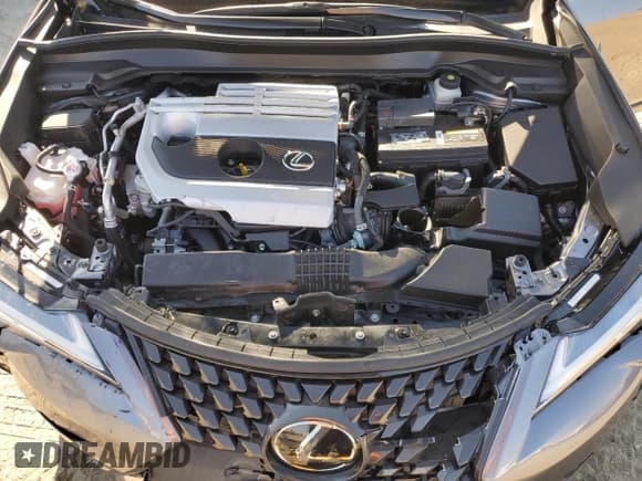 ✅ 2021 Lexus UX 200 • VIN: JTHX3JBH4M2035812 • Лот: 81259155. Опубликован ранее на Copart с пробегом 52 359 миль. Бесплатный доступ к архиву аукционных продаж из США и подробный отчёт об истории автомобиля на DreamBid. Изображение 12.