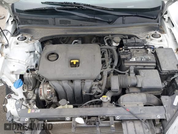 ✅ 2021 Kia Forte LXS • VIN: 3KPF24AD1ME375065 • Lot: 42356572. Listed on IAAI with 83,025 mi. Free auction sales archive from the USA and detailed vehicle history report at DreamBid. Image 10.