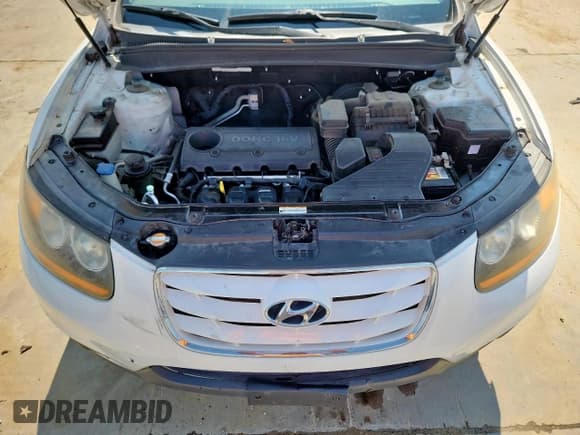 ✅ 2010 Hyundai Santa Fe GLS • VIN: 5NMSG3AB0AH398821 • Лот: 80789405. Опубликован ранее на Copart с пробегом 173 202 миль. Бесплатный доступ к архиву аукционных продаж из США и подробный отчёт об истории автомобиля на DreamBid. Изображение 12.