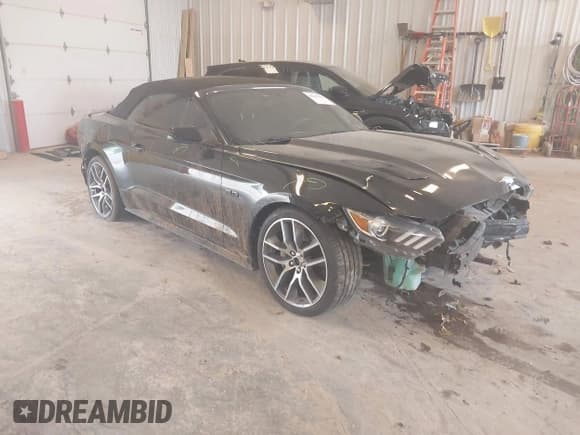 ✅ 2015 Ford Mustang GT Premium • VIN: 1FATP8FF8F5390477 • Lot: 42411636. Listed on IAAI with 119,251 mi. Free auction sales archive from the USA and detailed vehicle history report at DreamBid. Image 1.