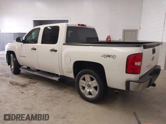 ✅ 2010 Chevrolet Silverado 1500 Work Truck • VIN: 3GCRKPE32AG111157 • Lot: 41078646. Listed on IAAI with 224,216 mi. Free auction sales archive from the USA and detailed vehicle history report at DreamBid. Image 3.