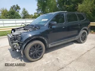 ✅ 2020 Kia Telluride EX • VIN: 5XYP34HC5LG054498 • Lot: 71947845. Wystawiony na Copart z przebiegiem 113 640 mil. Bezpłatny archiwum sprzedaży aukcyjnych z USA i szczegółowy raport historii pojazdu na DreamBid. Zdjęcie 1.