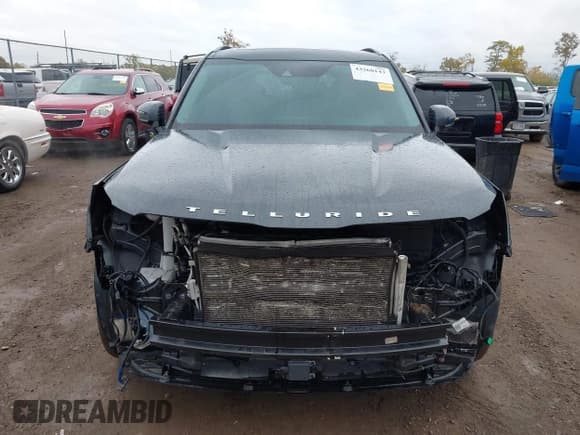 ✅ 2022 Kia Telluride SX • VIN: 5XYP54HC9NG210457 • Lot: 43560143. Wystawiony na IAAI z przebiegiem 106 567 mil. Bezpłatny archiwum sprzedaży aukcyjnych z USA i szczegółowy raport historii pojazdu na DreamBid. Zdjęcie 13.
