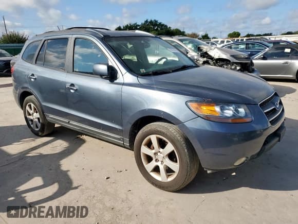 ✅ 2009 Hyundai Santa Fe SE • VIN: 5NMSH13E09H323749 • Lot: 69123575. Listed on Copart with 298,016 mi. Free auction sales archive from the USA and detailed vehicle history report at DreamBid. Image 4.