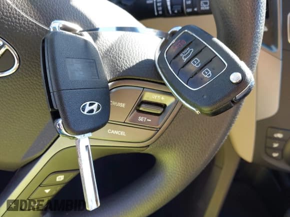 ✅ 2017 Hyundai Santa Fe 2.4L • VIN: 5XYZTDLB3HG452100 • Lot: 43706844. Wystawiony na IAAI z przebiegiem 149 566 mil. Bezpłatny archiwum sprzedaży aukcyjnych z USA i szczegółowy raport historii pojazdu na DreamBid. Zdjęcie 11.