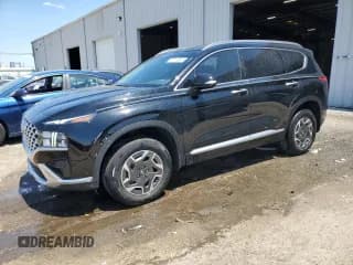 ✅ 2021 Hyundai Santa Fe Blue • VIN: KM8S2DA18MU008780 • Lot: 57113624. Wystawiony na Copart z przebiegiem 36 420 mil. Bezpłatny archiwum sprzedaży aukcyjnych z USA i szczegółowy raport historii pojazdu na DreamBid. Zdjęcie 1.