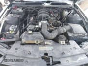 ✅ 2009 Ford Mustang • VIN: 1ZVHT80N595126825 • Lot: 42551097. Listed on IAAI with Not provided. Free auction sales archive from the USA and detailed vehicle history report at DreamBid. Image 10.