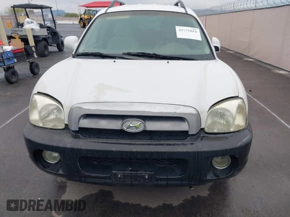 ✅ 2005 Hyundai Santa Fe GLS • VIN: KM8SC13D75U946581 • Lot: 43775010. Wystawiony na IAAI z przebiegiem 237 150 mil. Bezpłatny archiwum sprzedaży aukcyjnych z USA i szczegółowy raport historii pojazdu na DreamBid. Zdjęcie 12.