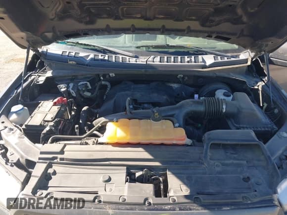 ✅ 2018 Ford F-150 XL • VIN: 1FTEW1CP4JFE48713 • Lot: 43655314. Wystawiony na IAAI z przebiegiem 158 406 mil. Bezpłatny archiwum sprzedaży aukcyjnych z USA i szczegółowy raport historii pojazdu na DreamBid. Zdjęcie 10.