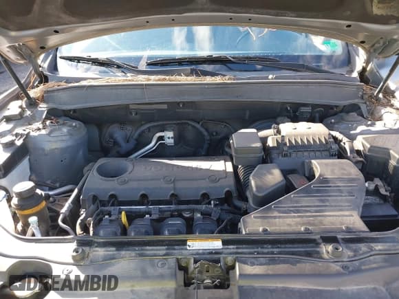 ✅ 2010 Hyundai Santa Fe GLS • VIN: 5NMSGDAB8AH372327 • Lot: 43668861. Listed on IAAI with 88,475 mi. Free auction sales archive from the USA and detailed vehicle history report at DreamBid. Image 10.