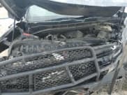 ✅ 2020 Chevrolet Silverado 1500 LT Trail Boss • VIN: 3GCPYFEL1LG315192 • Lot: 64153234. Wystawiony na Copart z przebiegiem Nie podano. Bezpłatny archiwum sprzedaży aukcyjnych z USA i szczegółowy raport historii pojazdu na DreamBid. Zdjęcie 11.