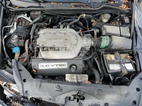 ✅ 2007 Honda Accord EX-L • VIN: 1HGCM66517A800433 • Lot: 89712665. Wystawiony na Copart z przebiegiem Nie podano. Bezpłatny archiwum sprzedaży aukcyjnych z USA i szczegółowy raport historii pojazdu na DreamBid. Zdjęcie 11.